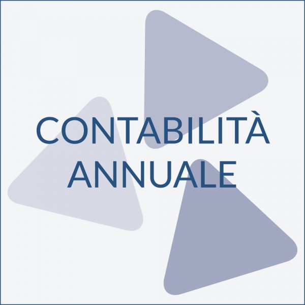 MAB Maurizio Amabile Basaglia - contabilità annuale
